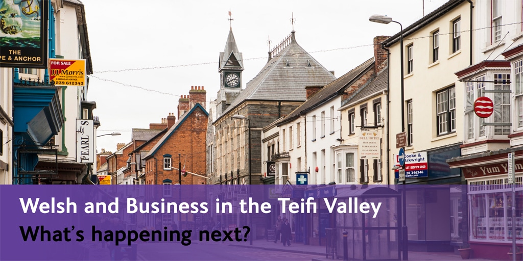 The Welsh and Business in the Teifi Valley What’s happening next? Join us in the discussion.