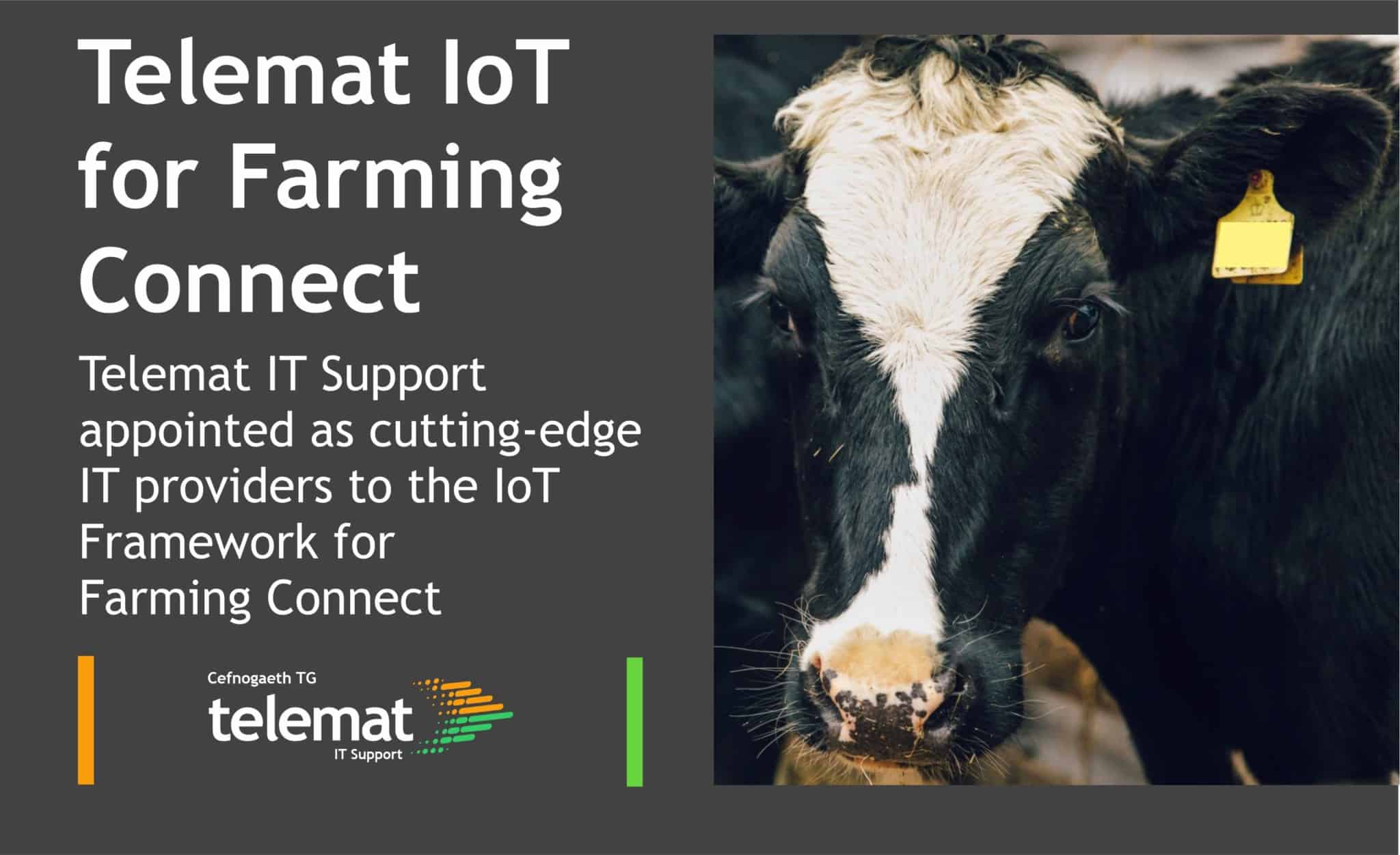 Telemat It Support Appointed As Cutting Edge It Providers To The Iot